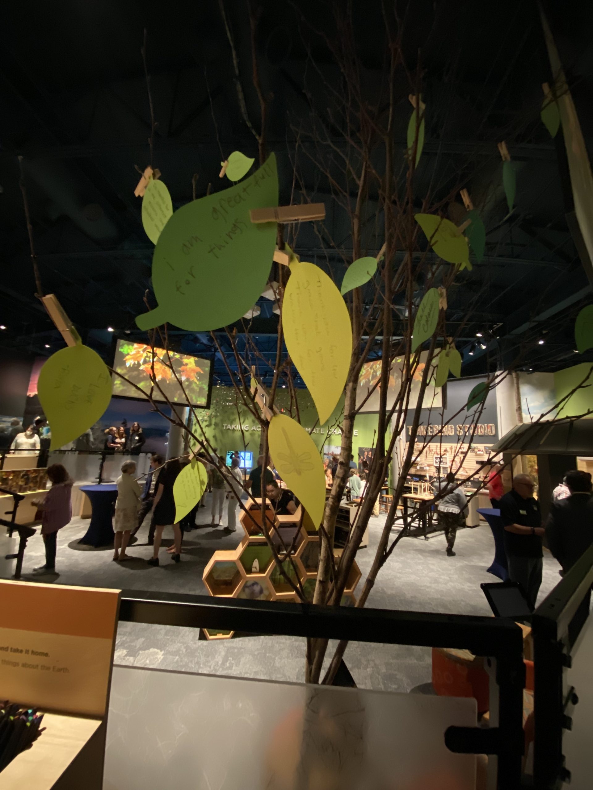 Image of indoor tree with paper leaves