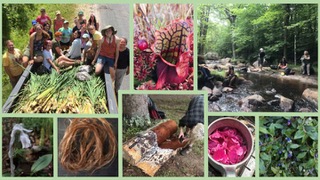 Collage of SUNY-ESF students and images of ethnobotany